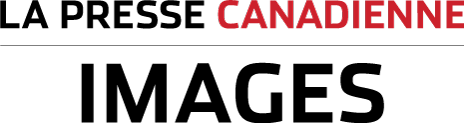 The page header's logo